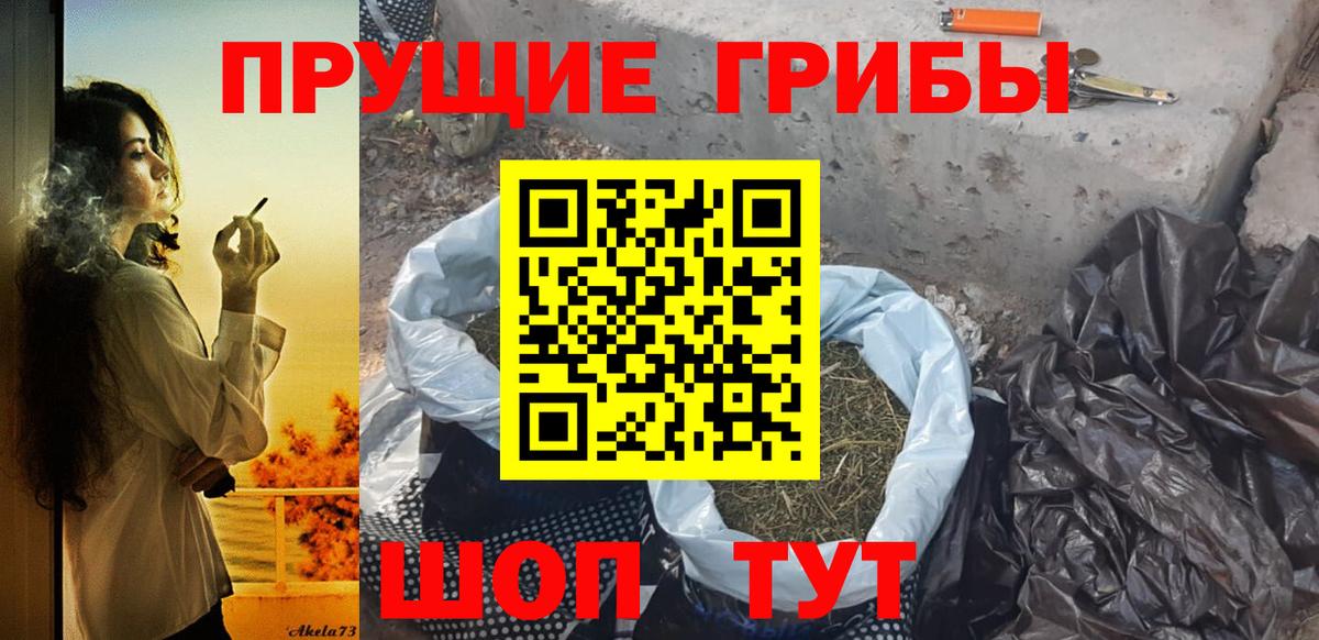 Галлюциногенные грибы GOLDEN TEACHER  Вход с VPN  Ефремов 